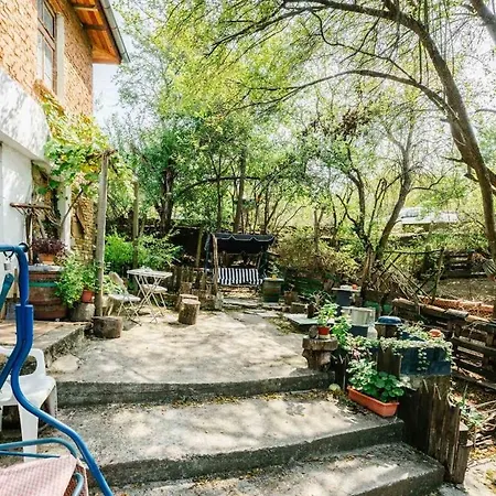 марго Kosti