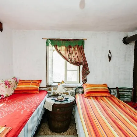 Tatil Evi марго Kosti