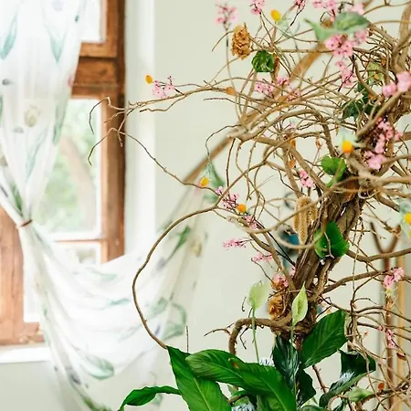 Σπίτι διακοπών марго Kosti