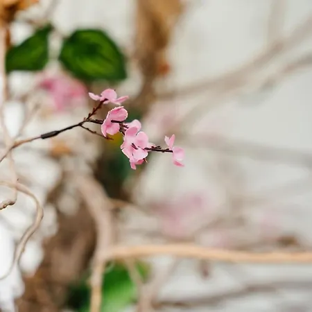 марго Σπίτι διακοπών