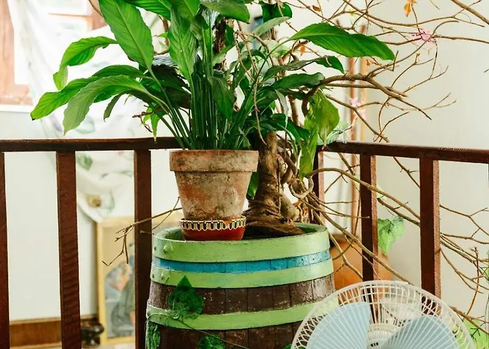 Feriehus марго *