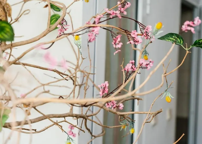 Feriehus марго Kosti